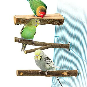 3_Zbg~܂؎~܂܂𖁂񂲂̖؎R؊ނ܂p[`CRIEIE₷݃{[hVѓP[WANZT[tȒPIEX^c