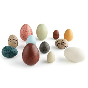 ikingؐ12pcs-܂܂Ǝqmߋ`FV~[V܂܂ƃZbgC[X^[GbO؂̂j̎q̎qav[g