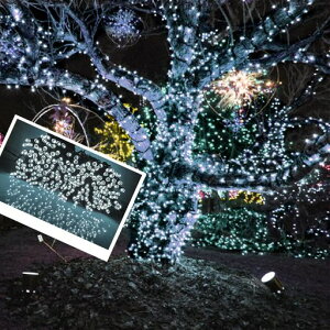 \[[C~l[V50m500hOpNX}XledXgOCg4FI\ZΐF̃P[uϋvuph^C}[L@\Rt{tK[fc