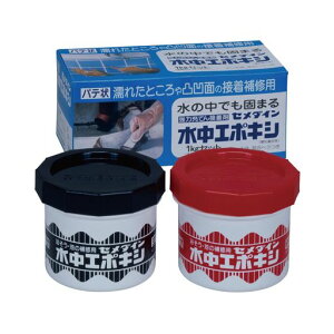 Z_C(Cemedine)͏[ĂڒܐG|LV1kgZbgAP-001