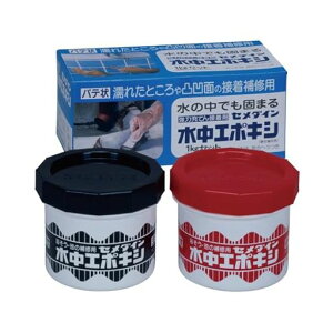 Z_C(Cemedine)͏[ĂڒܐG|LV1kgZbgAP-001