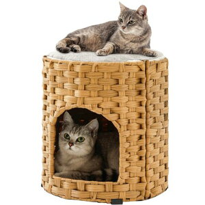 WEAVESTARLxbhLbgnEX͎҂ِ̗ʃNbVtybgnEXłL̉ƂƌĂ΂ꍇ΁ALxbh͂ƂĂѕLnEX͂Ə̂邱ƂAc