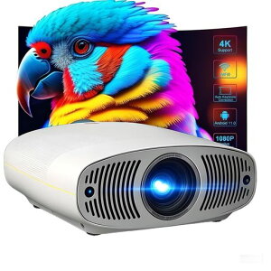 yPx50000LM1300ANSIV݂ΉGoogleTV/NetflixځzvWFN^[150C`eՂ낶[ƒp1080P邢łgvWFN^[rWlXAI쎩tH[JX