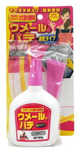 ƒ뉻wHƑE[pe100gO[wt