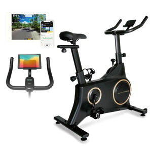 ACR(ALINCO)XsoCNGAoCNtBbglXoCNƒp7iK׃zC[Jo[Th߃nh߃XL@\OnheVo[^ubgg[Ác