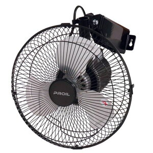 HƗp@Ǌ|^25cmA~HU著Eh[u3iKLb`ΉvCFHA252ubN