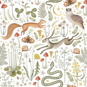 VEELIKEǎǎV[NXEH[XebJ[e[uCNV[ghϔMJbeBOV[gӂ܎V[^Cv̂t͂锍RϖCCc