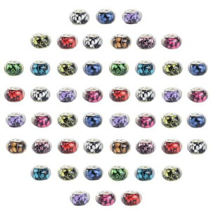 r[Y50[sAX^CJtʂr[YnhChNtg|ANZT[fDIY蕨lbNXuXbgWG[p