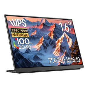 EHOMEWEIモバイルモニター144hz2.5K16インチWQXGA2560*1600QLED量子ドットポータブルモニター非光沢【Windows/MacOS】対応100%DCI-P3ゲーミングType-C保護フィルム