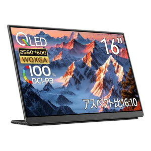 EHOMEWEIoCj^[144hz2.5K16C`WQXGA2560*1600QLEDʎqhbg|[^uj^[yWindows/MacOSzΉ100%DCI-P3Q[~OType-CیtB