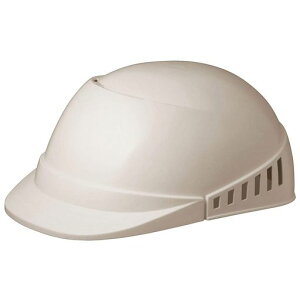 ~hSyƖXSCL100A\tBAO[