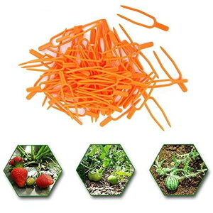 500{i[sAT|[g|NbvŒtH[NAŒNbvZC`SAŒtH[N_ƗpNbv|pUƃK[fjO|p_ƗpIW