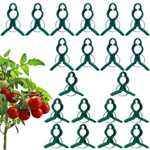 |NbvUNbvAT|[gŒNbv|pxNbvؗUNbvږ؃g}giX/ʍ؍͔||p֗Nbvėp\ȒPxK[fpi_Ɨpi(10/c