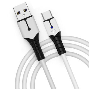 PS5 �R���g���[���[�p �[�d�P�[�u�� PS5�p�[�d�R�[�hType C �P�[�u�� 2M Xbox Series/PS5 DualSense �R���g���[���[ �Ȃ�USB C�@��Ή�