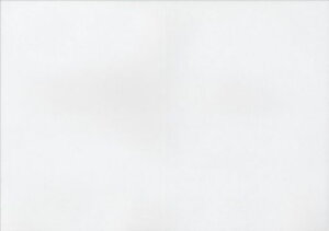 ptbgp2c܂̐܂ړv^[p㎿110kg(A3100)