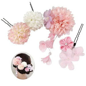 a荂ԒaߐU葳wAANZTlWƎl܎Oa܂ݍ׍HwANbvt[(sNpink)