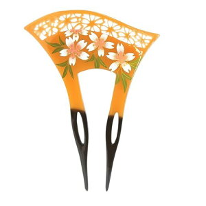 [~I~I]񂴂aߗo`^wAANZT[AeB[Nt[ԂׂbJ[CG[ubNMiaomyao