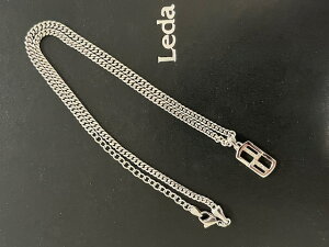 _V}@_ChlbNX@v`V}̃WG[RNV@Leda@ʉi!!