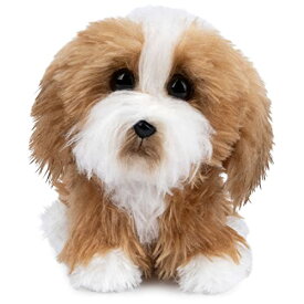 ガンド GUND ぬいぐるみ リアル お世話 GUND Boo, The World’s Cutest Dog, Boo & Friends Collection Tibetan Terrier Puppy, Stuffed Animal for Ages 1 and Up, 5”ガンド GUND ぬいぐるみ リアル お世話