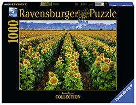 ジグソーパズル 海外製 アメリカ Ravensburger Fields of Gold 15288 1000 Piece Puzzle for Adults, Every Piece is Unique, Softclick Technology Means Pieces Fit Together Perfectlyジグソーパズル 海外製 アメリカ