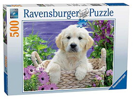 ジグソーパズル 海外製 アメリカ Ravensburger Sweet Golden Retriever 500 Piece Jigsaw Puzzle for Adults Kids Age 10 Years and Upジグソーパズル 海外製 アメリカ