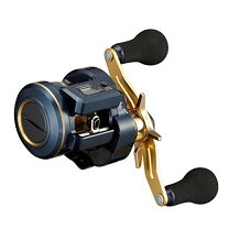 楽天市場】ソルティガ bj 100pl－rmの通販