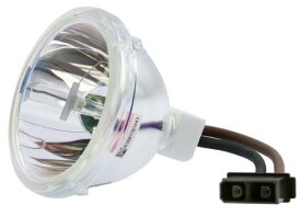 プロジェクターランプ ホームシアター テレビ 海外 輸入 SHP87 Replacement Lamp for Toshiba Y66-LMP SHP87 Bare Bulbプロジェクターランプ ホームシアター テレビ 海外 輸入 SHP87