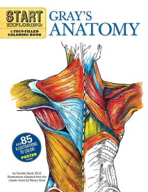 海外製絵本 知育 英語 イングリッシュ アメリカ 9780762440733 Start Exploring: Gray's Anatomy: A Fact-Filled Coloring Book (Start Exploring (Coloring Books))海外製絵本 知育 英語 イングリッシュ アメリカ 9780762440733