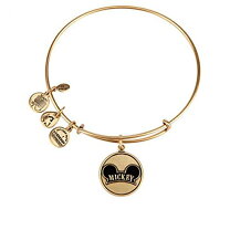 楽天市場】alex and ani ディズニーの通販