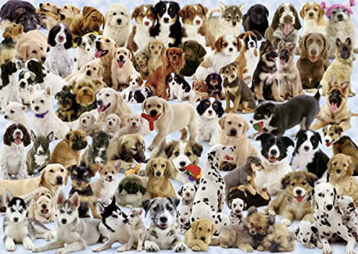 楽天市場 送料無料 ジグソーパズル 海外製 1000ピース たくさんの犬 ペット 動物 サイズ約68x50センチ Angelica