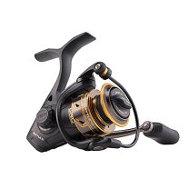  PENN Warfare Level Wind Conventional Nearshore/Lake Fishing  Reel, HT-100 Star Drag, Max of 15lb