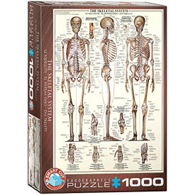 ジグソーパズル 海外製 アメリカ EuroGraphics Skeletal System (Chart) Puzzle (1000-Piece) (6000-3970) , Brownジグソーパズル 海外製 アメリカ