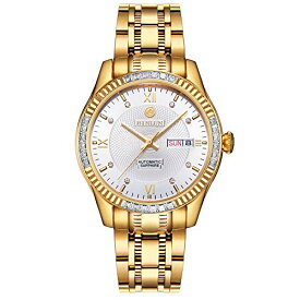 腕時計 ビンルン メンズ BINLUN Men's Automatic Gold Watches 18K Gold Plated Diamond Mechanical Watch Waterproof Stainless Steel Skeleton Wrist Watch for Men腕時計 ビンルン メンズ