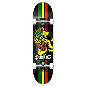 スタンダードスケートボード スケボー 海外モデル 直輸入 Yocaher Punked Complete Skateboard 7.75" x 31" Pro Skateboards with Black Widow Grip Tape, Aluminum Alloy Truck, ABEC-9 Bearing, 54mm Skateboaスタンダードスケートボード スケボー 海外モデル 直輸入