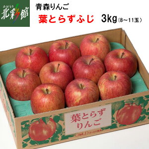 yS[h_@tƂ炸ӂ 3Kg z݁EYn XԁF11{`2{