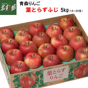 yS[h_@tƂ炸ӂ 5Kgz݁EYn XyΕzԁF11{`2{