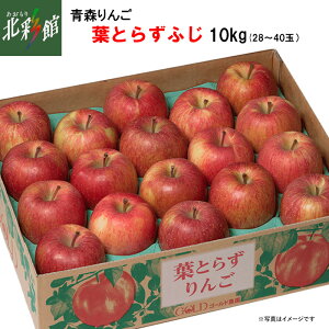 yS[h_@tƂ炸ӂ@10Kgz݁EYn XԁF11{`2{