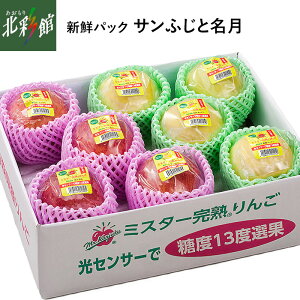 yL[GC@VNpbNEx13xI TӂƖzEYn XԁF11{`12{