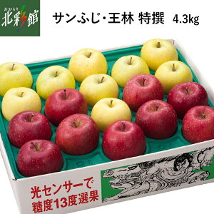 yL[GC@x13xI TӂE i4.3kgjz݁EYn XԁF11{`12{