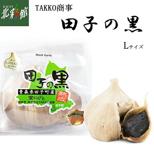 yTAKKO@cq̍ LTCYz݁EYn X