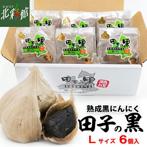 yTAKKO@cq̍ LTCY i6jz݁EYn X