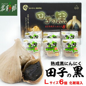 yTAKKO@cq̍ LTCY 6iϔjz݁EYn X