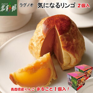 【ラグノオ】【 気になるリンゴ 観光パッケージ(2個入)】送料込み・産地直送 青森