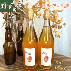 yGARUTSU ORANGE AUTUMN C2{Zbgz݁EYn X