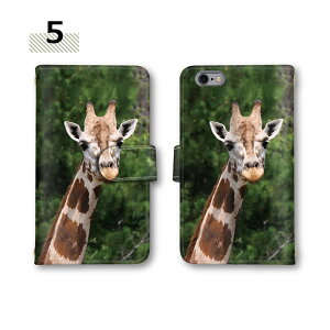 yX^[g_bV50OffN[|z X}zP[X 蒠^ S@Ή CI nova 5T OPPO A55s 5G Note9 P[X 12mini P[X Pixel 6a ANIX OPPO Reno A OPPO Reno5 A 906SH SO-53C SHG06 SHV47 P710 g V}E