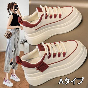 C V[Y C g[i[ Xj[J[ C  N ʋCbV 2024N t H V pr  Cq[ X|[c JWA V[Y ʋ ʊw O Oo fB[X  7c