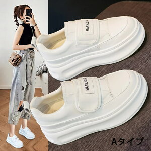 C V[Y C g[i[ Xj[J[ C  N ʋCbV 2024N t H V pr  Cq[ X|[c JWA V[Y ʋ ʊw O Oo fB[X  7c