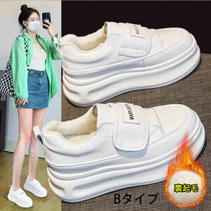 C V[Y C g[i[ Xj[J[ C  N ʋCbV 2024N t H V pr  Cq[ X|[c JWA V[Y ʋ ʊw O Oo fB[X  7c