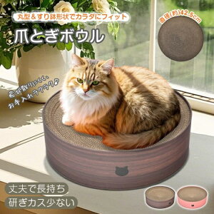 ܂Ƃ Lp܂Ƃ{E L L܌ _{[ ی^ 42.5cm 蔫` JXoɂ LQ Lxbh L pt099