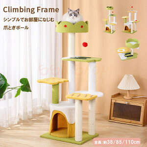 L ܂Ƃ |[ ɑ O {  Zbg  u ܂݂ XgX   xbh ybgxbh ܂₷ ܌ SSG SHOP Vpi